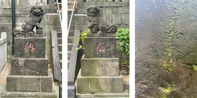 写真