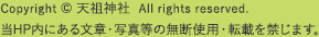 copyright